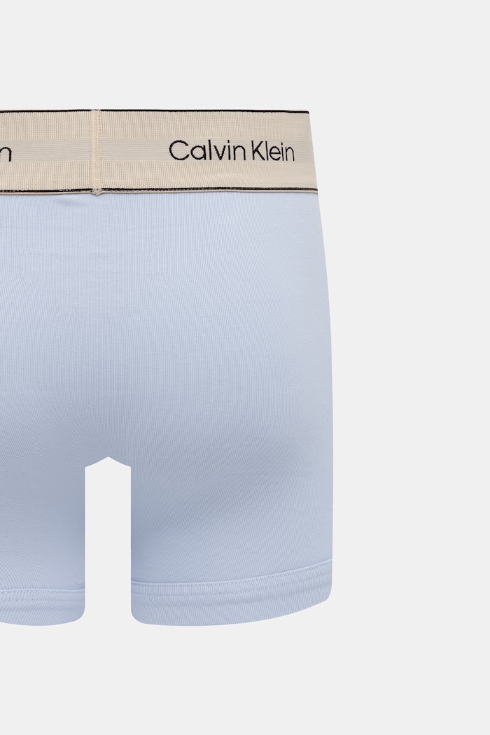 Calvin Klein Underwear μποξεράκι ανδρικό βαμβακερό με ελαστάν 3-pack LV00NB4446 μπλε