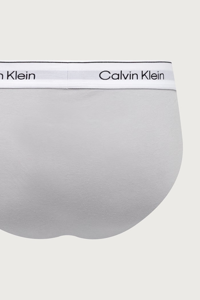 Slipy pánske bavlnené s elastanom 3-pak Calvin Klein Underwear sivá LV00NB4563