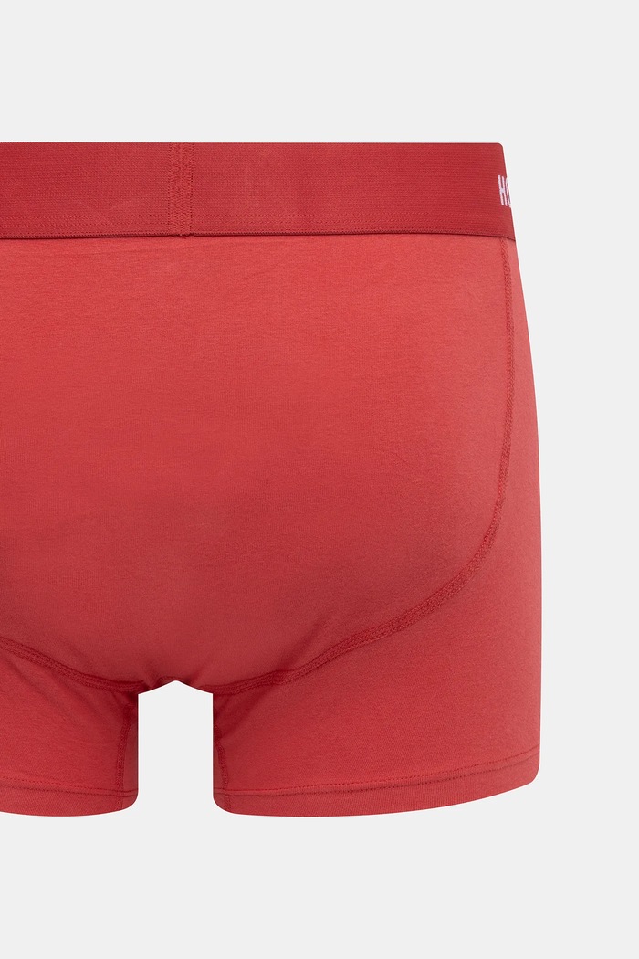 Boksarice Hollister Co. 7-pack KI314.5032.200