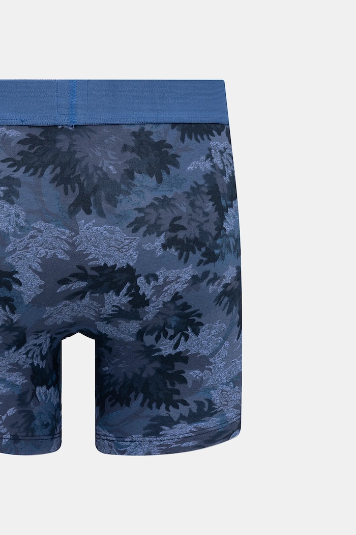 Boxerky Levi's 2-pak modrá 37149.1174