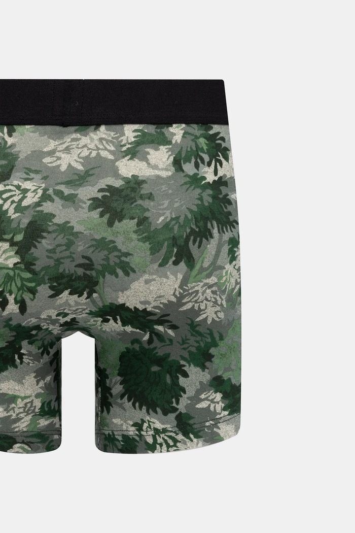 Boxerky Levi's 2-pak 37149.1175 zelená