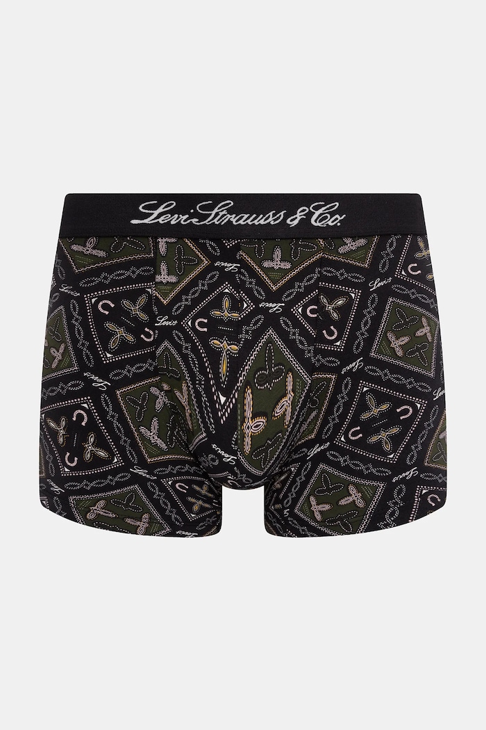 Oblečenie Boxerky Levi's 2-pak 37149.1180 zelená