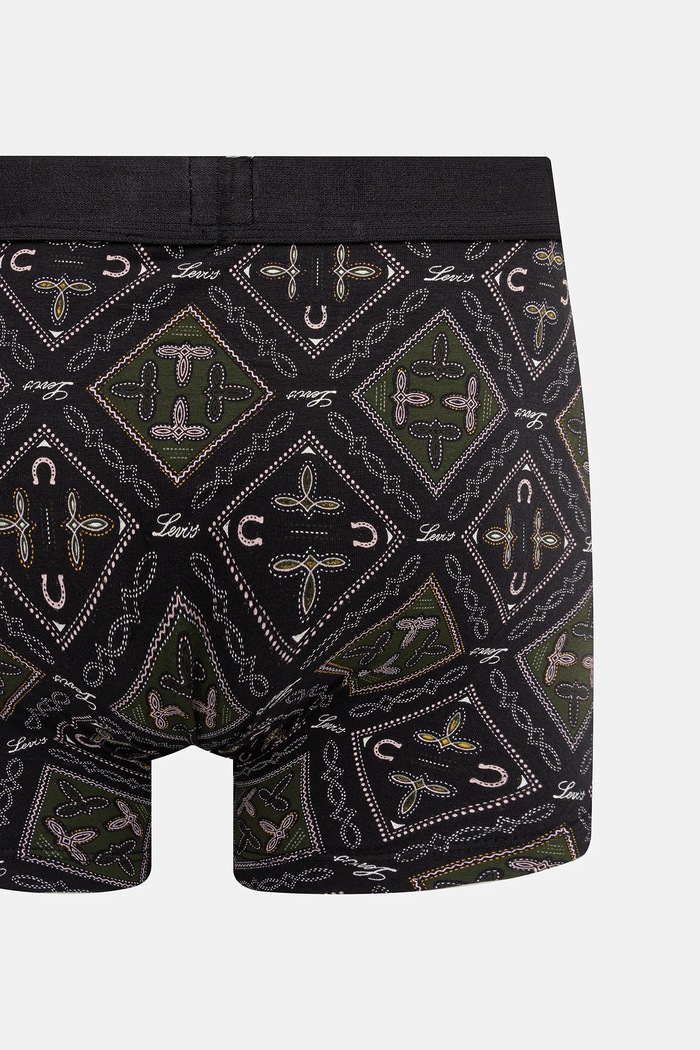 Boxerky Levi's 2-pak 37149.1180 zelená