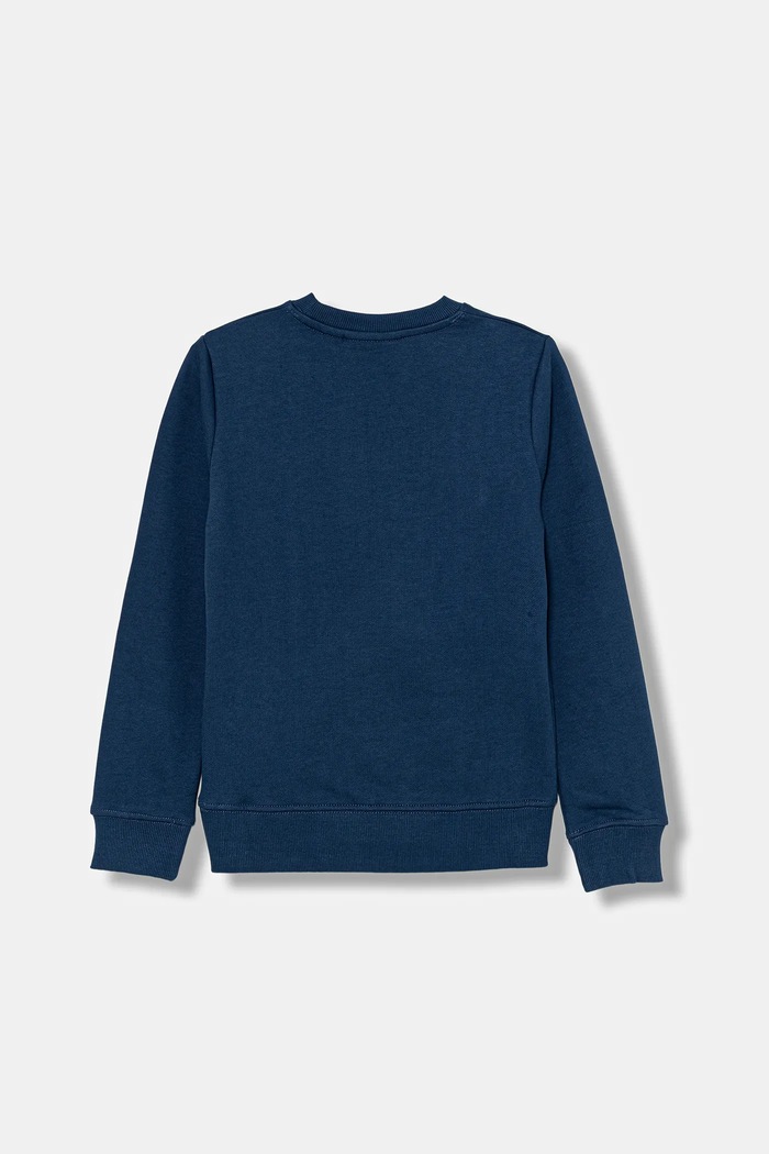 Băieți Calvin Klein Jeans hanorac de bumbac pentru copii IB0IB02527.9BYA albastru