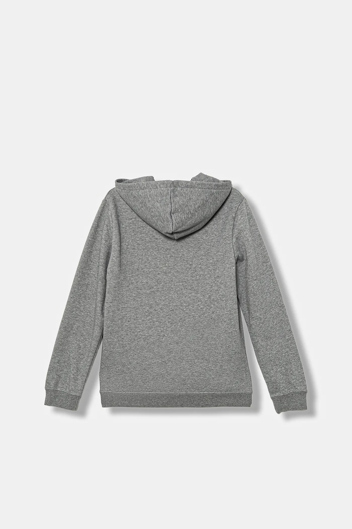 Момче Детски суичър Puma ESS No. 1 Logo Hoodie FL B 684908 сив