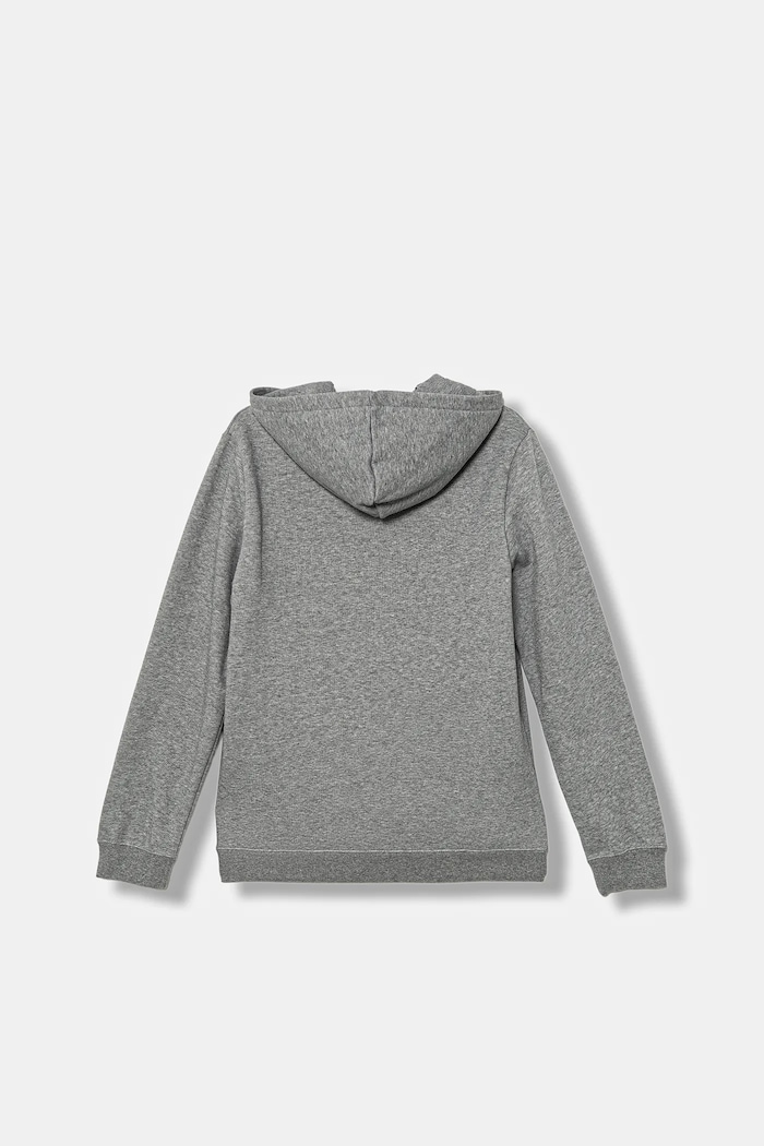 Момче Детски суичър Puma ESS No. 1 Logo Hoodie FL B 684908 сив