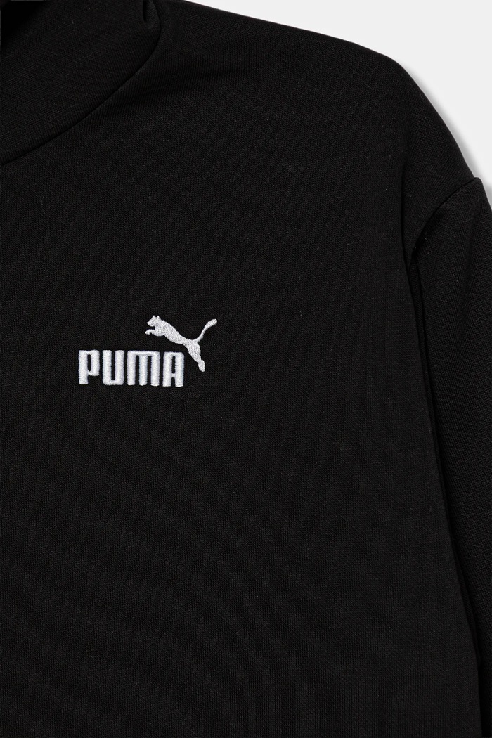 Dečki Otroški pulover Puma ESS Small No. 1 Logo Relaxed Hoodie FL B 684921 črna
