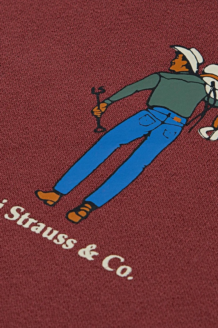 Chłopiec Levi's bluza dziecięca SADDLE MAN HOODIE 8EN717 bordowy