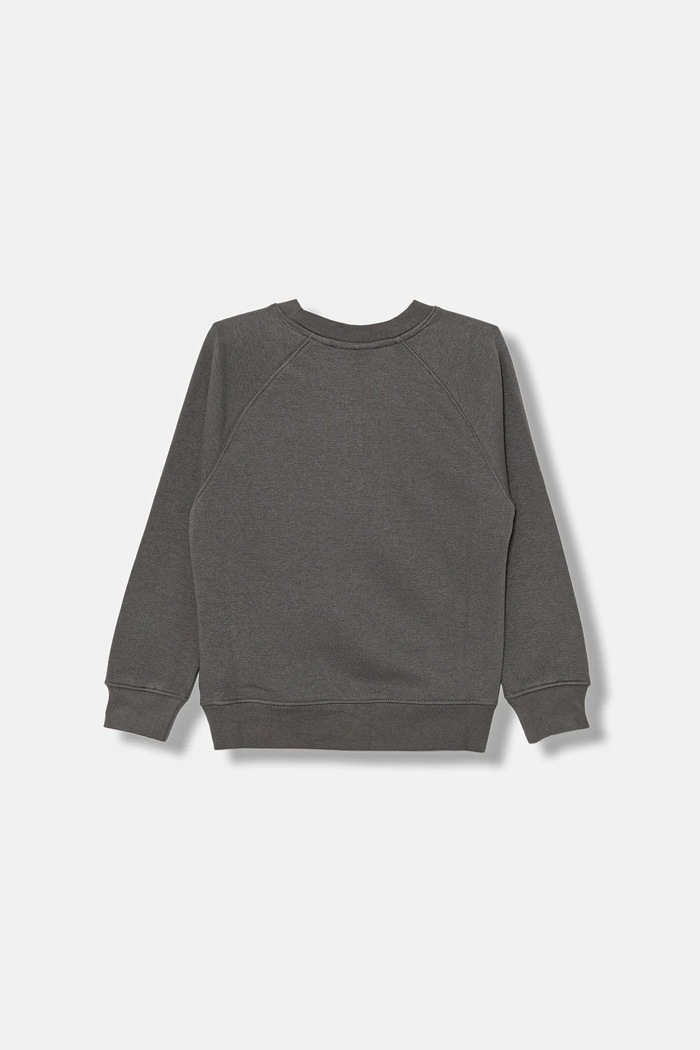 Детски памучен суичър Calvin Klein Jeans IB0IB02599.9BYA сив AW25