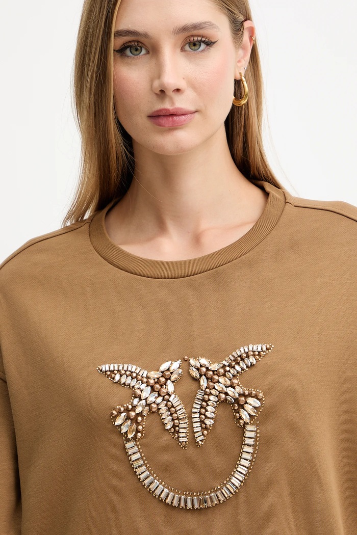 Pinko felpa in cotone marrone 100534.A2RO