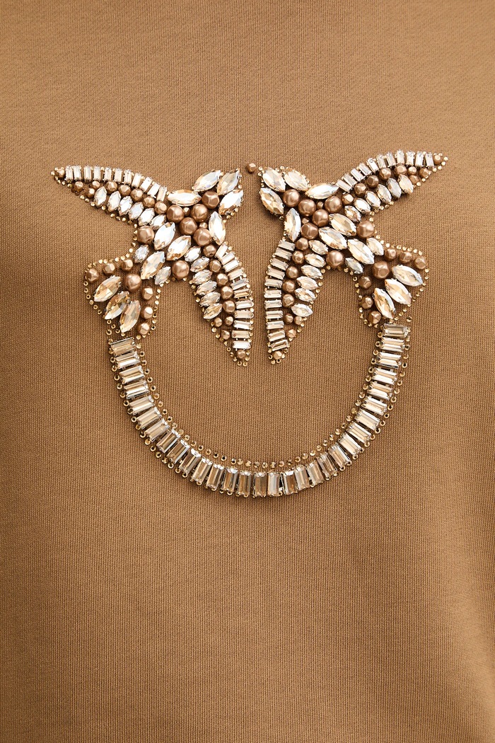 Pinko felpa in cotone 100534.A2RO marrone