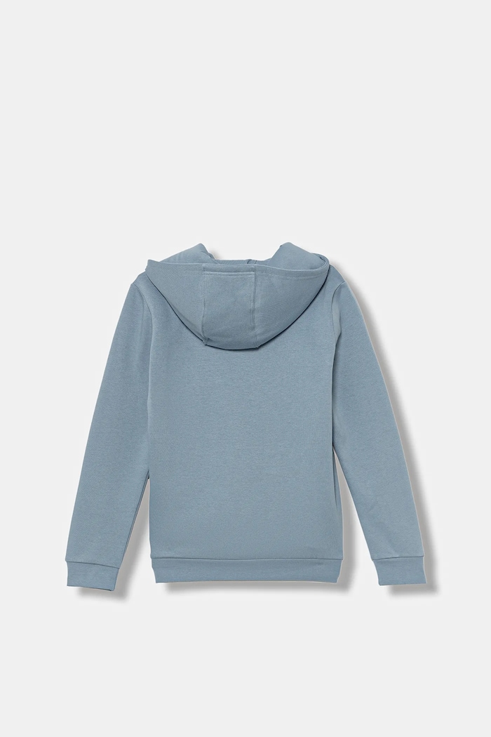 Chłopiec adidas Originals Bluza dziecięca JX2741 niebieski