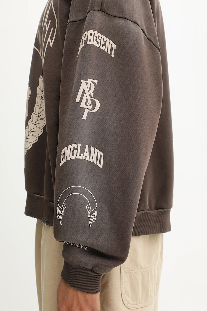 Represent cotton sweatshirt Legacy Crest MLM100372 brown