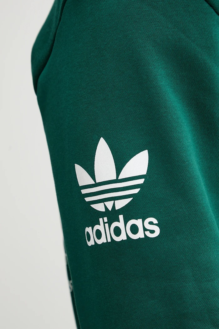adidas Originals bluza bawełniana Graphic Hoodie JX3059 zielony