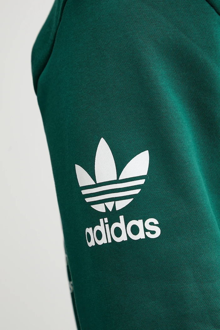 adidas Originals bluza bawełniana Graphic Hoodie JX3059 zielony
