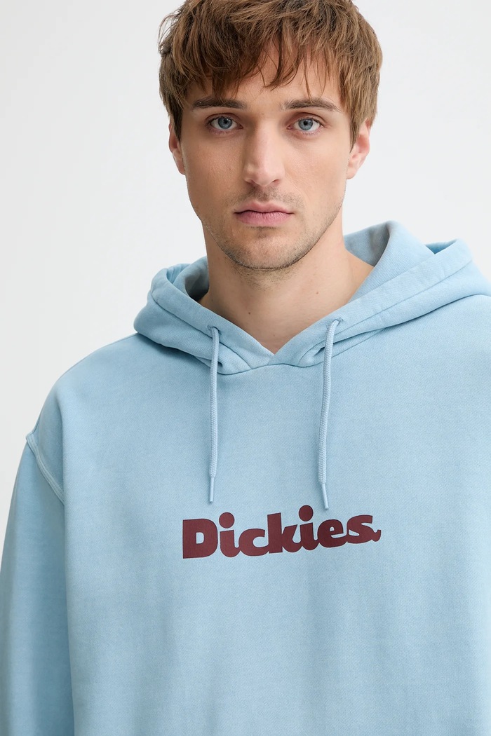 Dickies bluza niebieski DK0A87NP