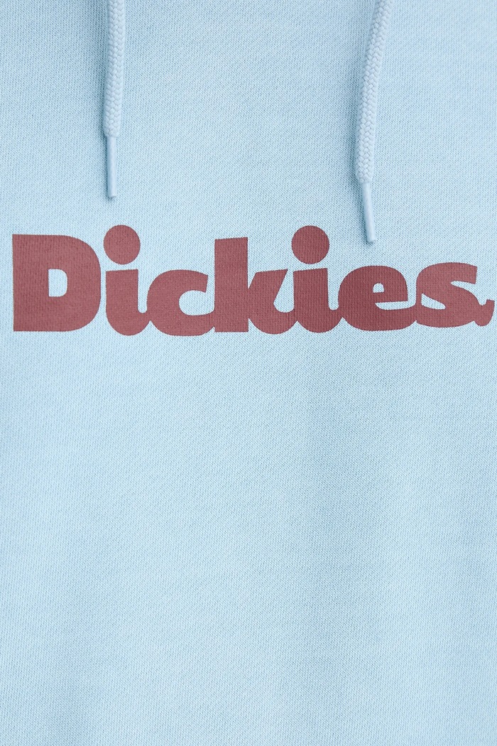 Dickies bluza DK0A87NP niebieski