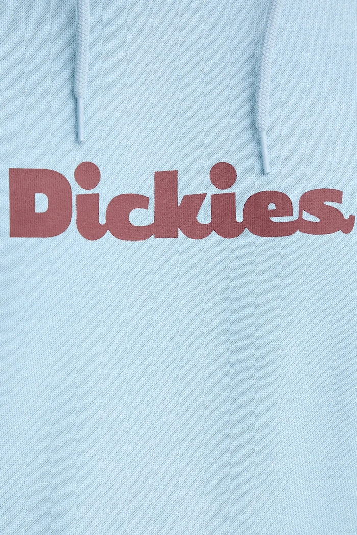 Dickies bluza DK0A87NP niebieski