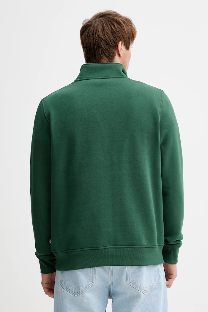 Îmbrăcăminte Dickies bluză DK0A4XD4 verde