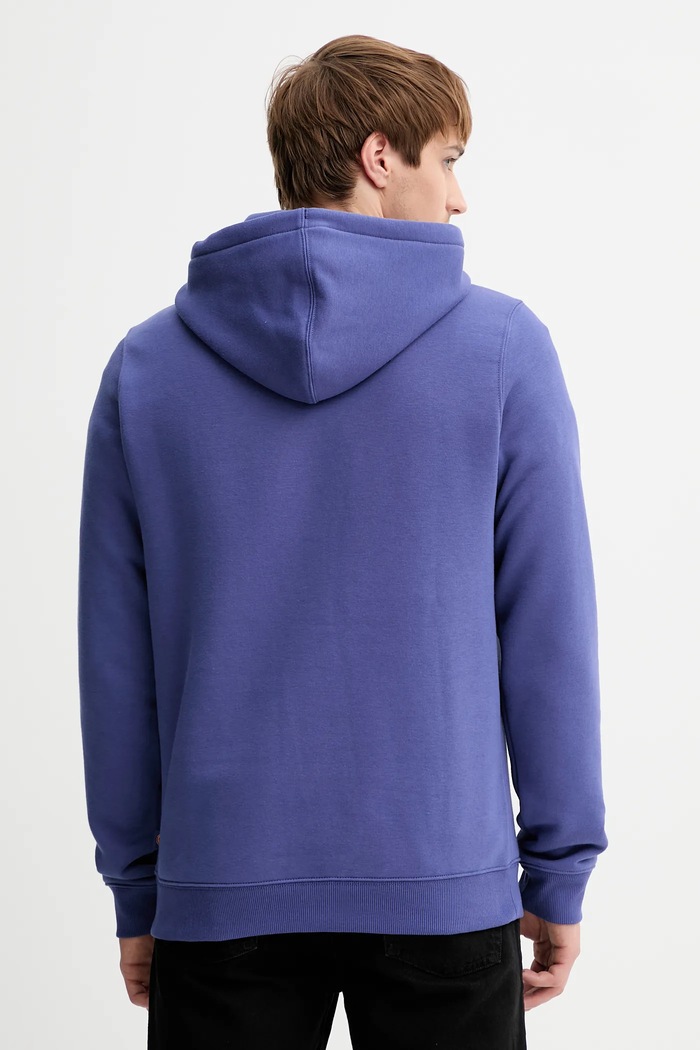 Îmbrăcăminte Dickies bluză DK0A4XCD violet
