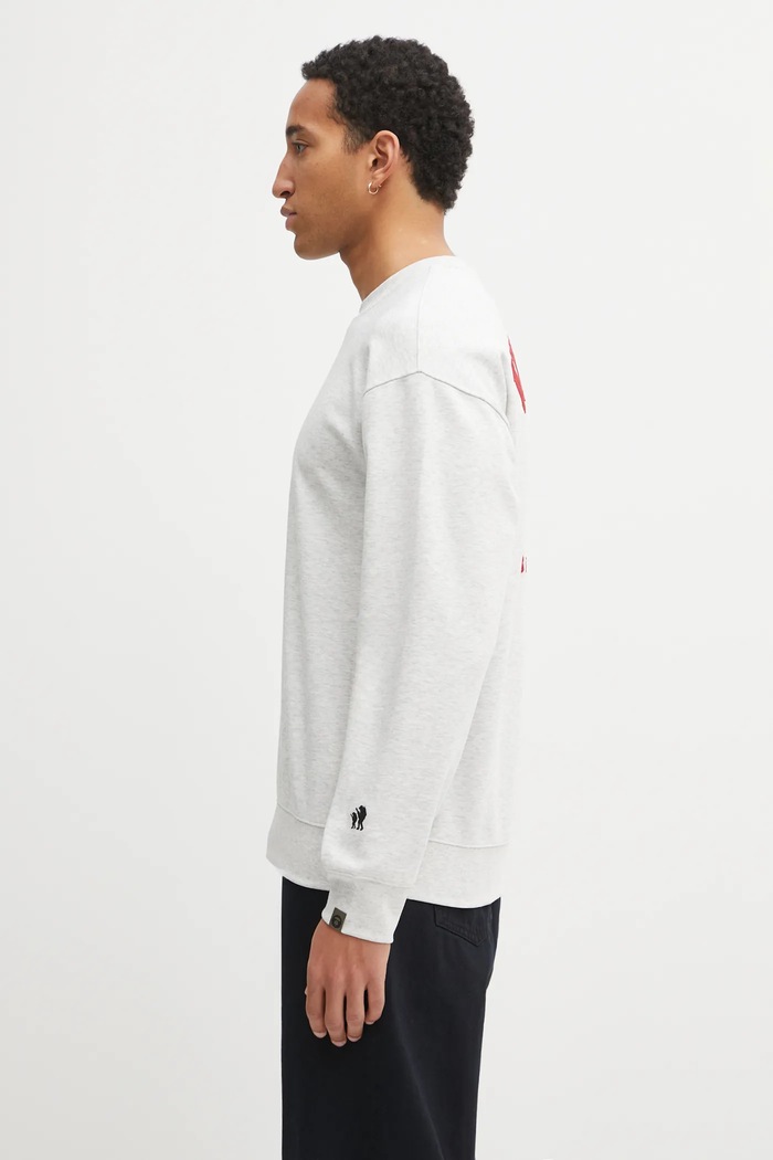 AAPE sweatshirt Aaper Crew Neck AAPSWMC368XAP gray AW25