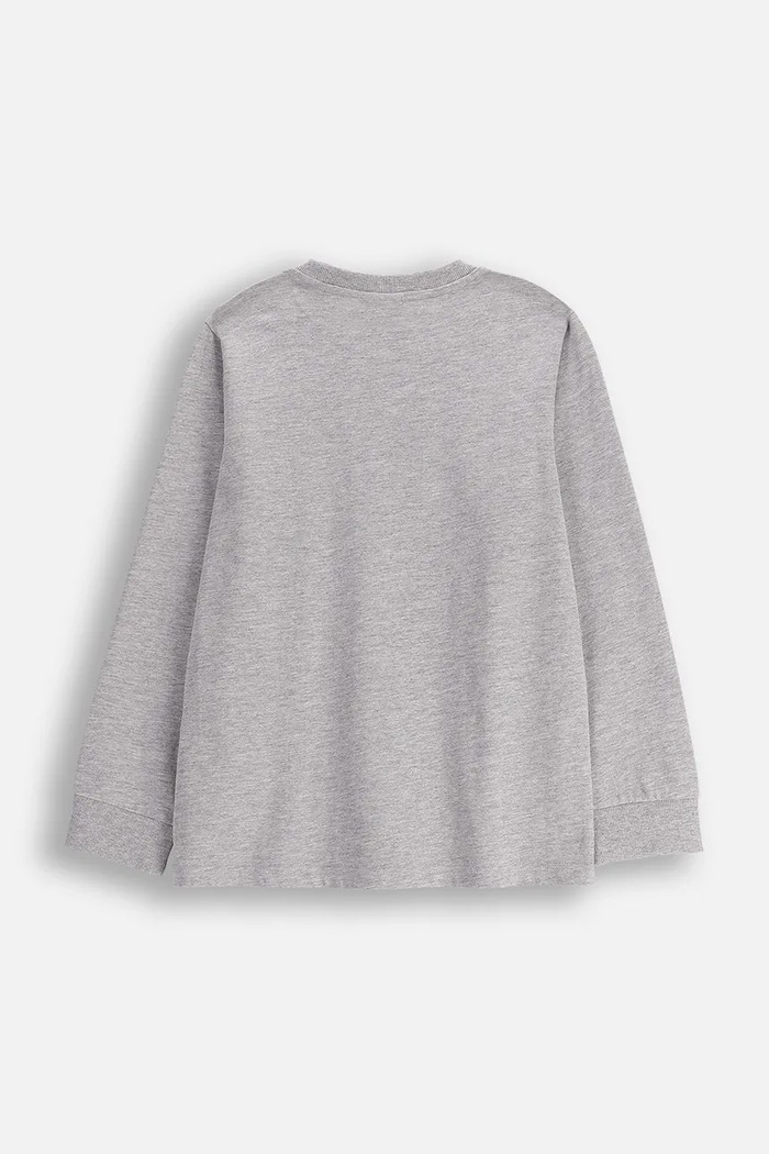 Coccodrillo longsleeve dziecięcy z bawełną ZC5143105VBA szary AW25