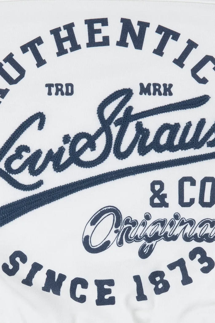 Dziewczynka Levi's longsleeve dziecięcy VARSITY LS TEE 3EN503 biały