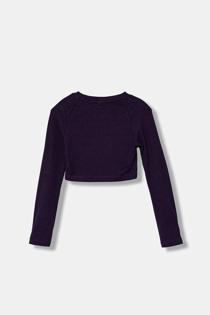 Băieți adidas Originals longsleeve copii JW2600 violet
