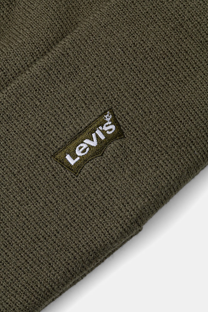 Băieți Levi's Căciulă copii LAN TONAL EMBROIDERED BEANIE 9A8707 verde