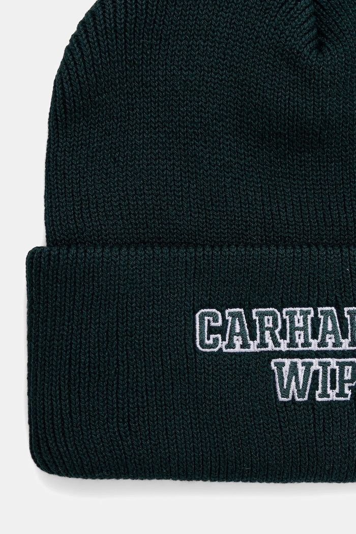 Accessories Carhartt WIP cotton beanie Alumni I035270.05AXX green