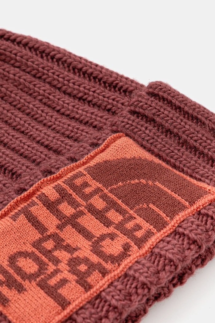 Čiapka The North Face HERITAGE NF0A7WJODI81 červená AW25