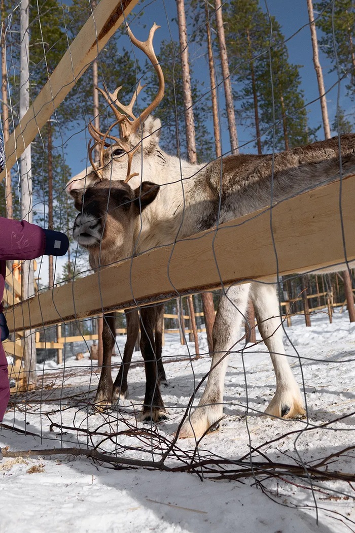Detská vlnená kukla Reima Kuuraan 5300214B.9BYA