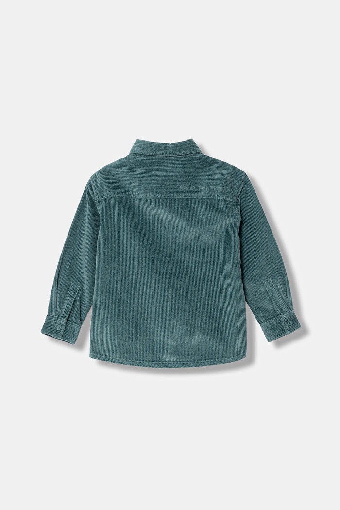 Bavlnená košeľa United Colors of Benetton 5IKTCQ04I.G.Seasonal zelená AW25