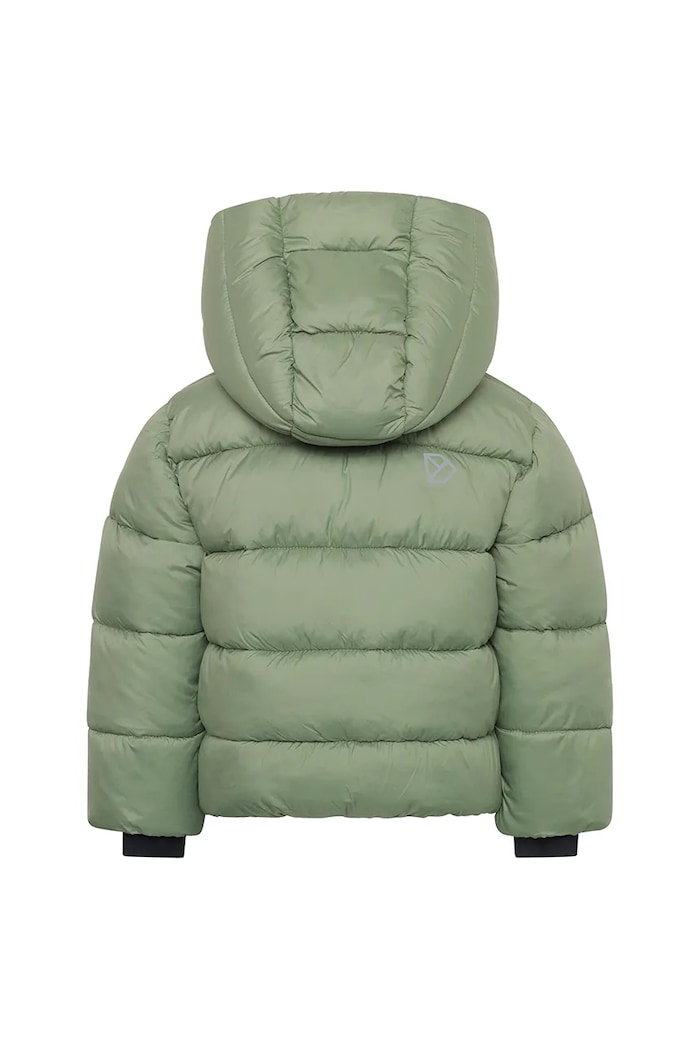 Chłopiec Didriksons kurtka dziecięca ROXEN KIDS JACKET 505811.9BYA zielony