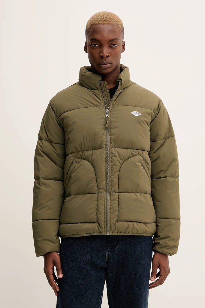 Dickies geacă cu captuseala verde DK0A87OG