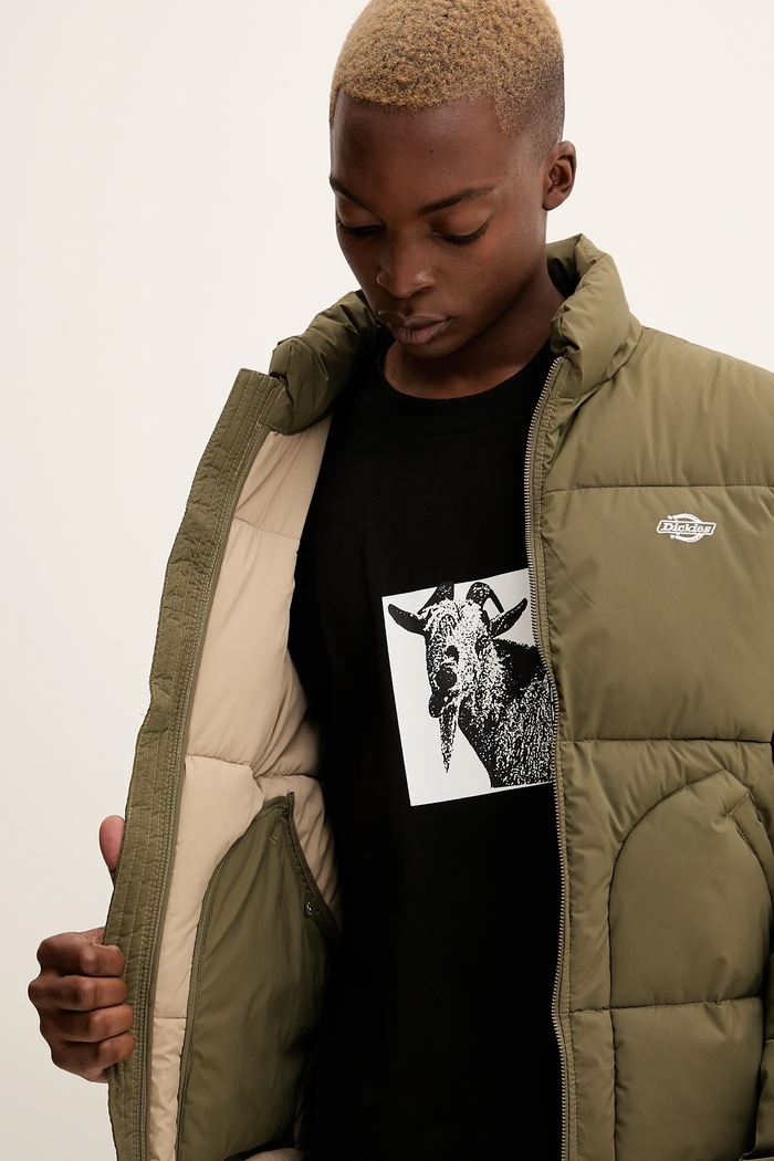 Dickies geacă DK0A87OG