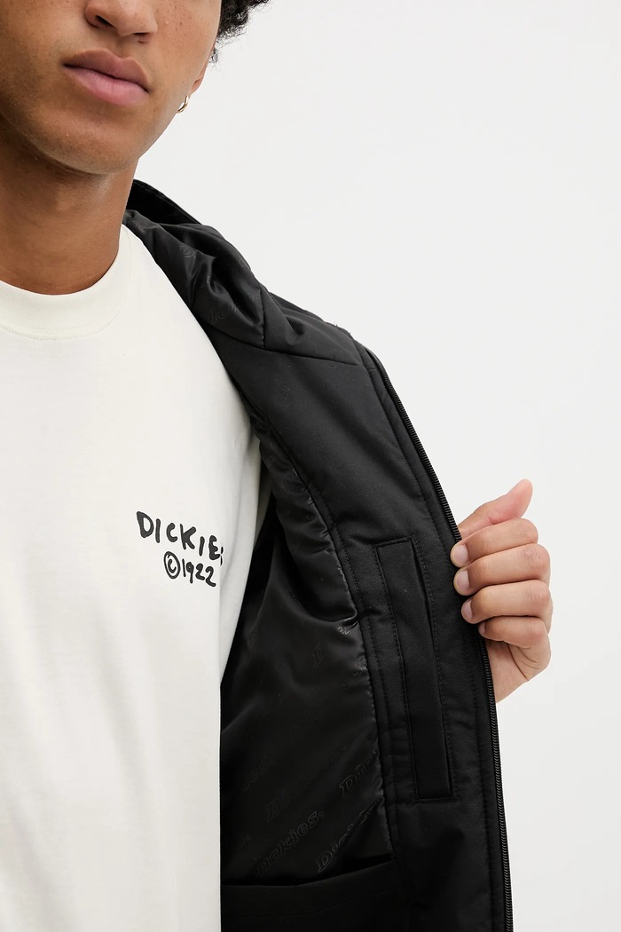 Dickies Geacă DK0A4XG8