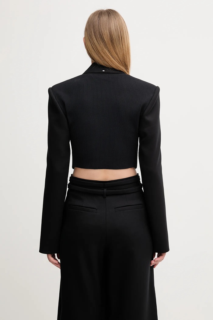 Ρούχα Σακάκι Sportmax GAVINO 2522046101600 μαύρο