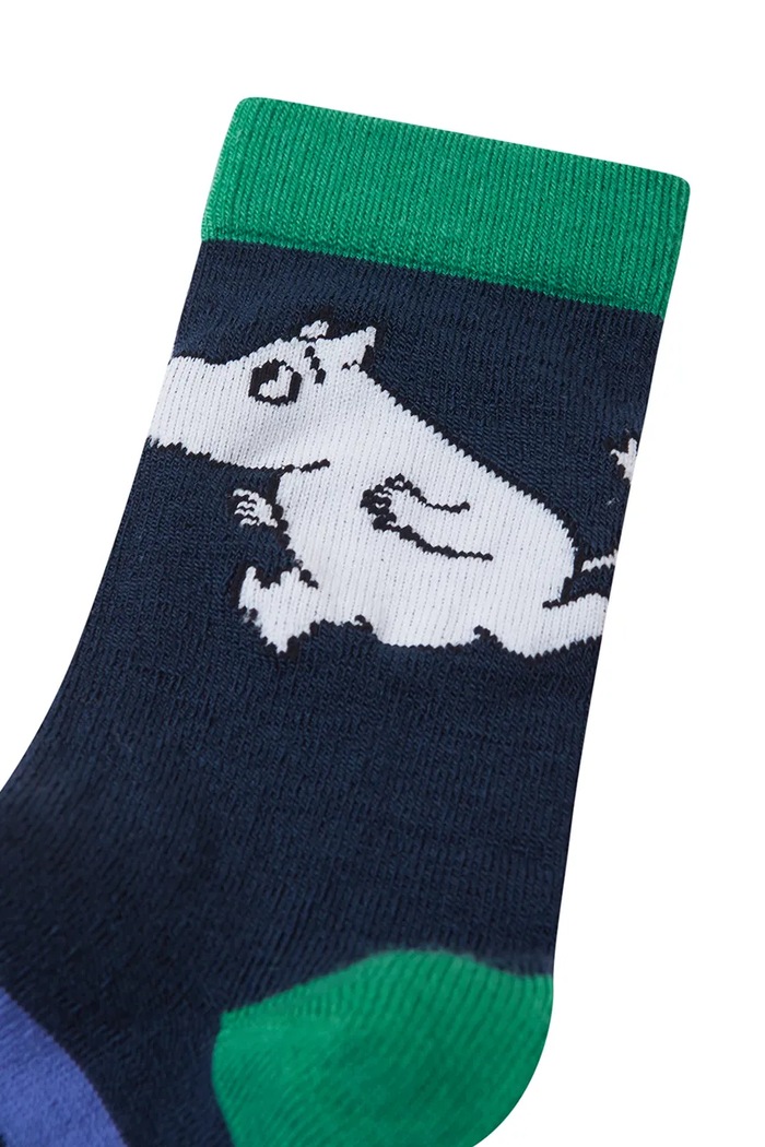 Хлопчик Дитячі шкарпетки Reima Moomin Randig 5300335A.9BYA зелений