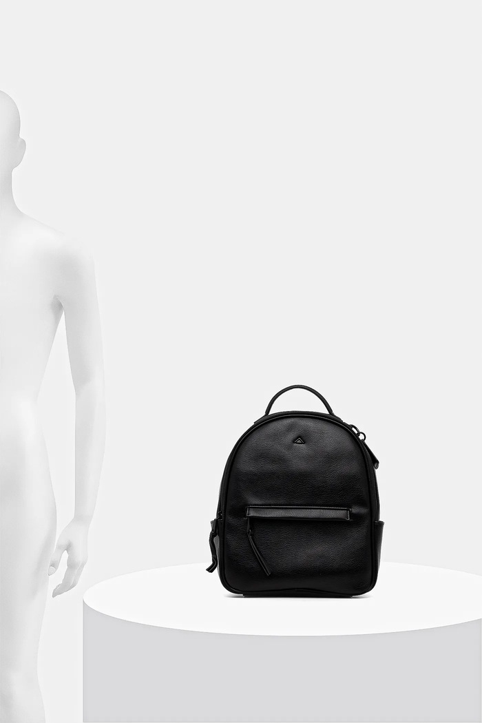 Aldo rucsac CORIDON.008