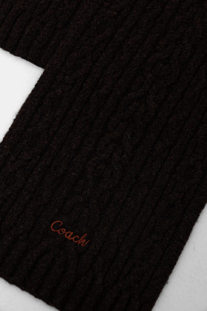 Accesorii Coach Eșarfă din amestec de lână 29CCL89 maro