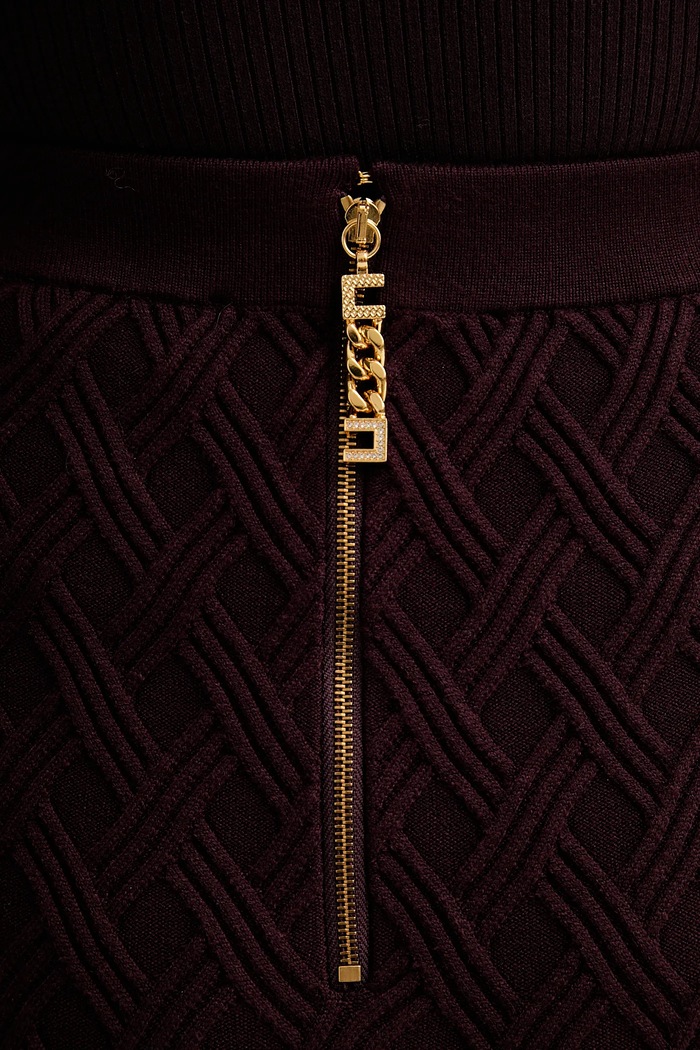 Φούστα Elisabetta Franchi μπορντό GK20B56E2