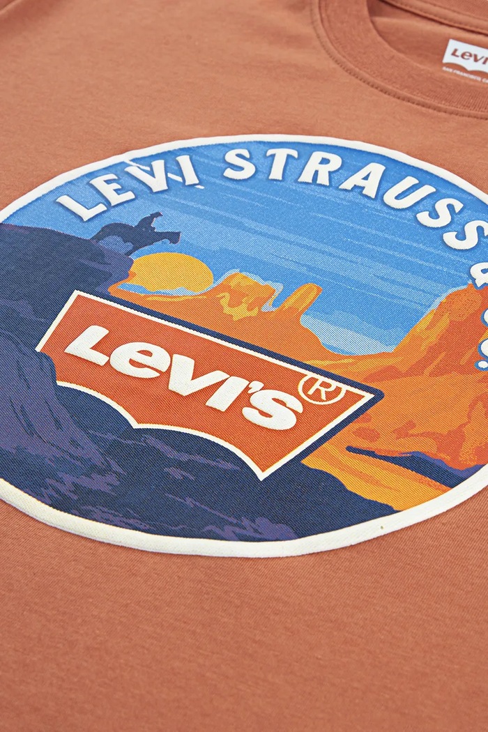 Chłopiec Levi's t-shirt bawełniany dziecięcy DESERT TRAIL TEE 8EN993 pomarańczowy