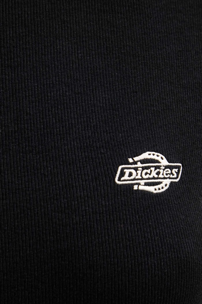 Tričko Dickies DK0A87QB čierna