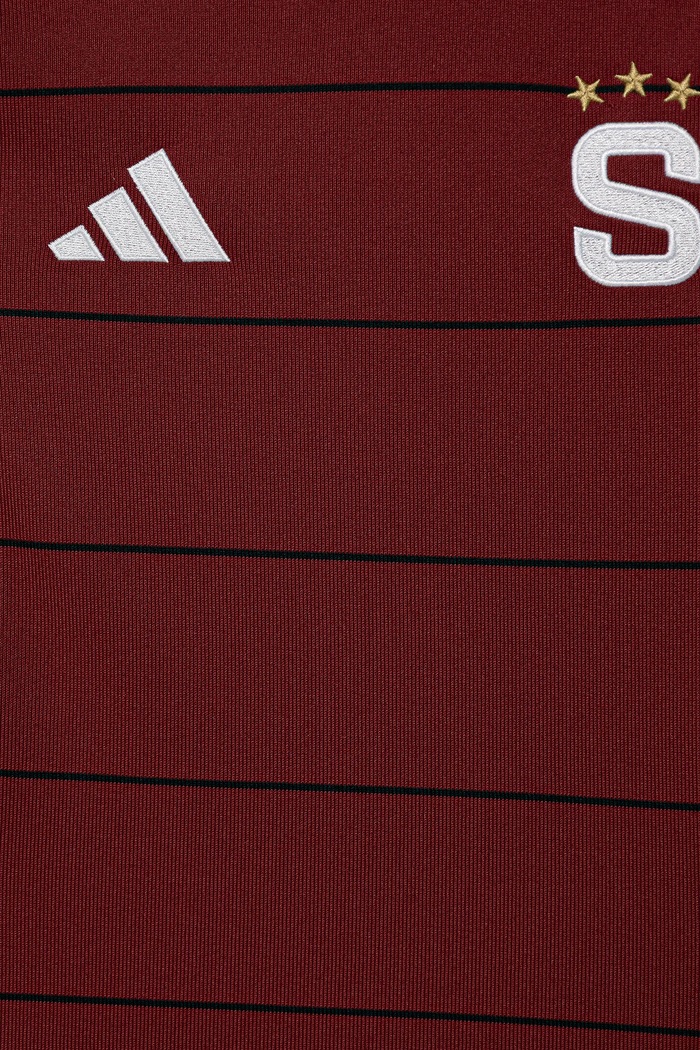 Chlapec Detské tričko adidas Performance ACSP IT4381 burgundské