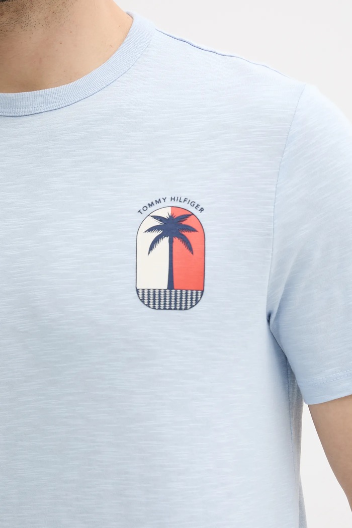 Βαμβακερό μπλουζάκι Tommy Hilfiger μπλε MW0MW39354