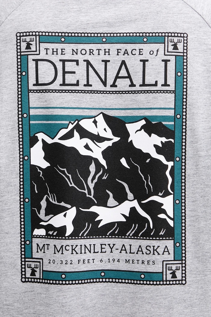 T-shirt The North Face szary NF0A87NUDYX1
