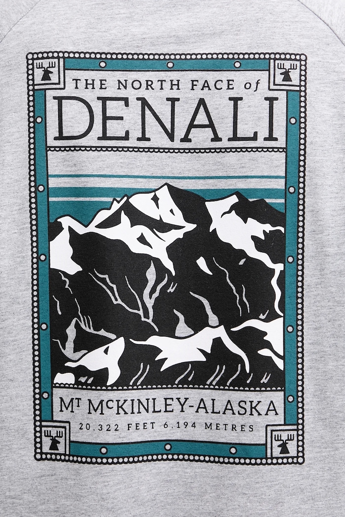 T-shirt The North Face szary NF0A87NUDYX1