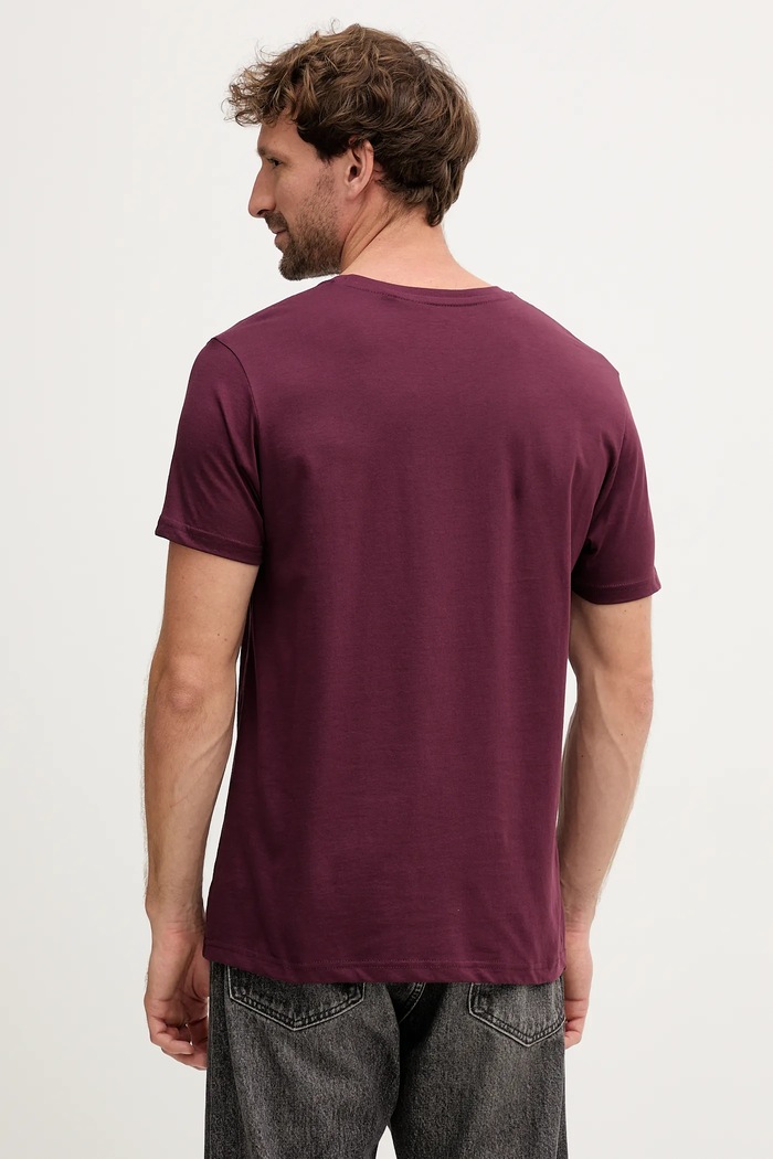 Βαμβακερό μπλουζάκι Alpha Industries 188505.608 μπορντό AW25
