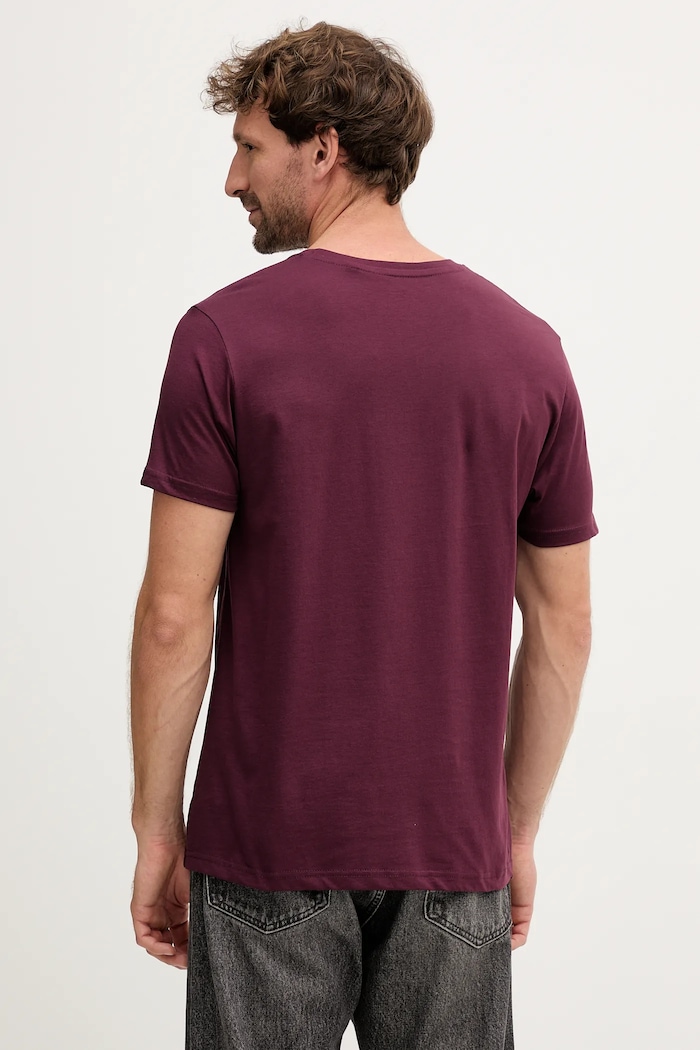 Βαμβακερό μπλουζάκι Alpha Industries 188505.608 μπορντό AW25